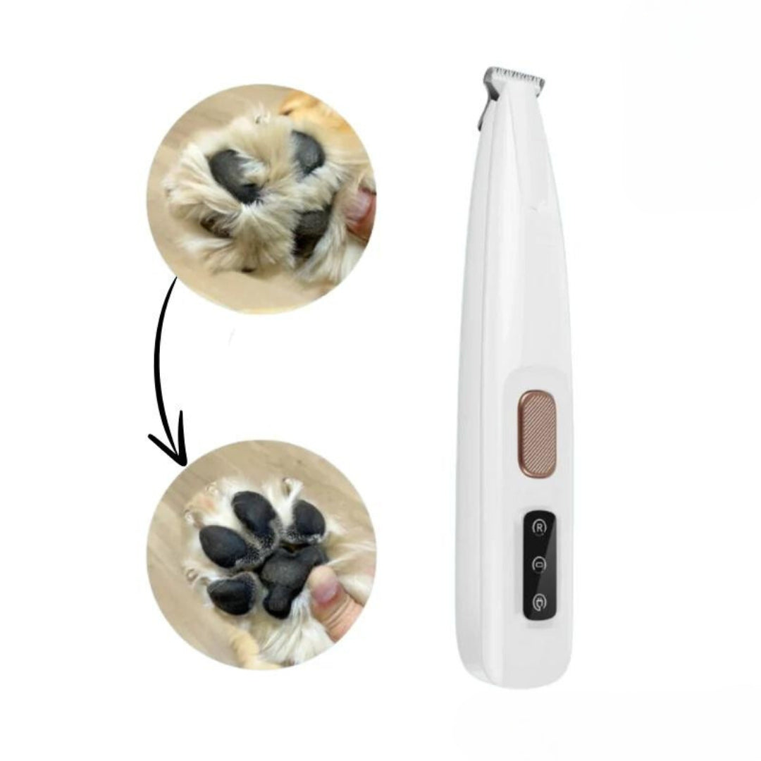 Macchinetta da toelettatura per cani